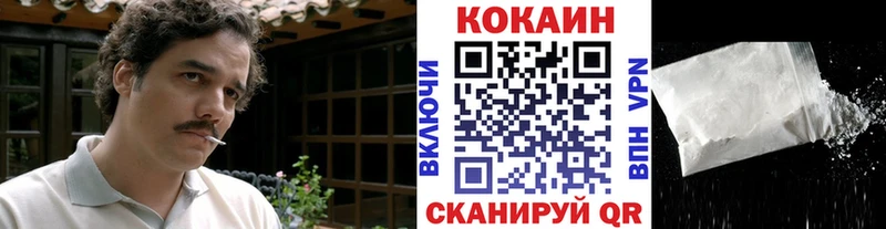 Купить закладки  Новоалександровск  COCAIN 99% 
