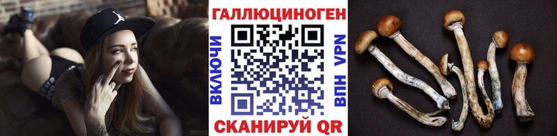 Купить  Новоалександровск  Галлюциногенные грибы ЛСД 